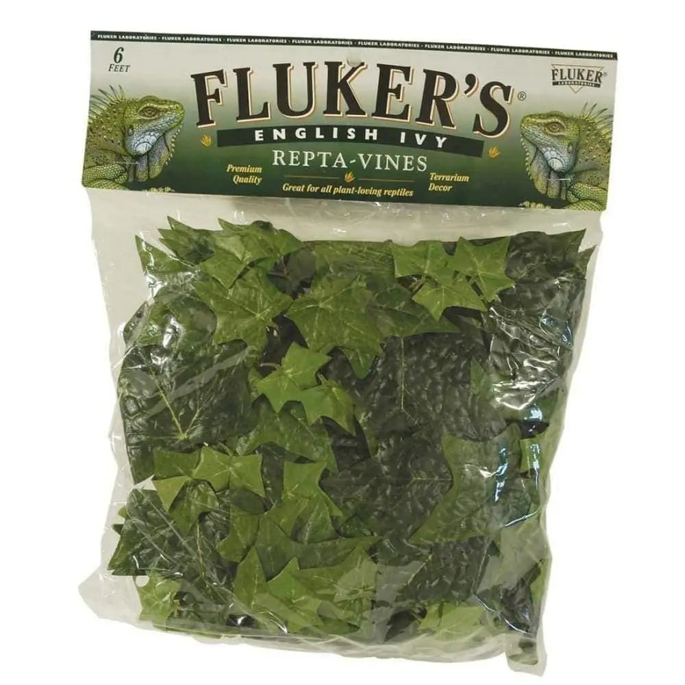 Fluker's English Ivy Repta-Vines Green Fluker's