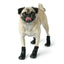 GF Pet Elastofit Dog Boots GF Pet
