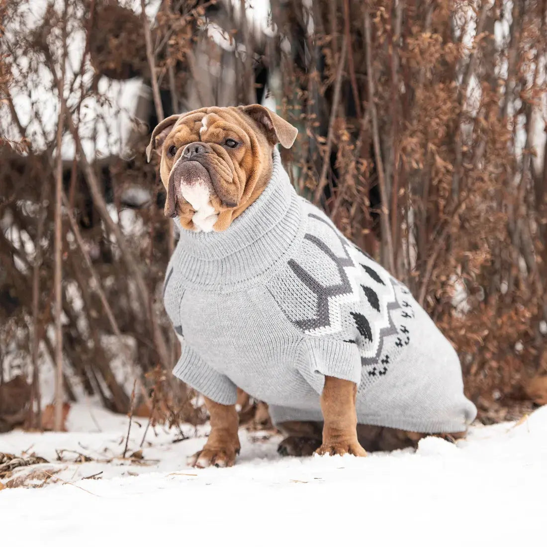 GF Pet Heritage Dog Sweater Warm Pets Clothes GF Pet
