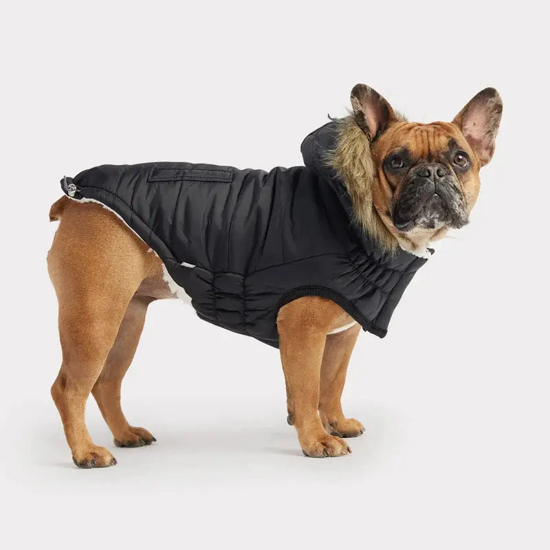 GF Pet Urban Parka Winter Dog Coat GF Pet