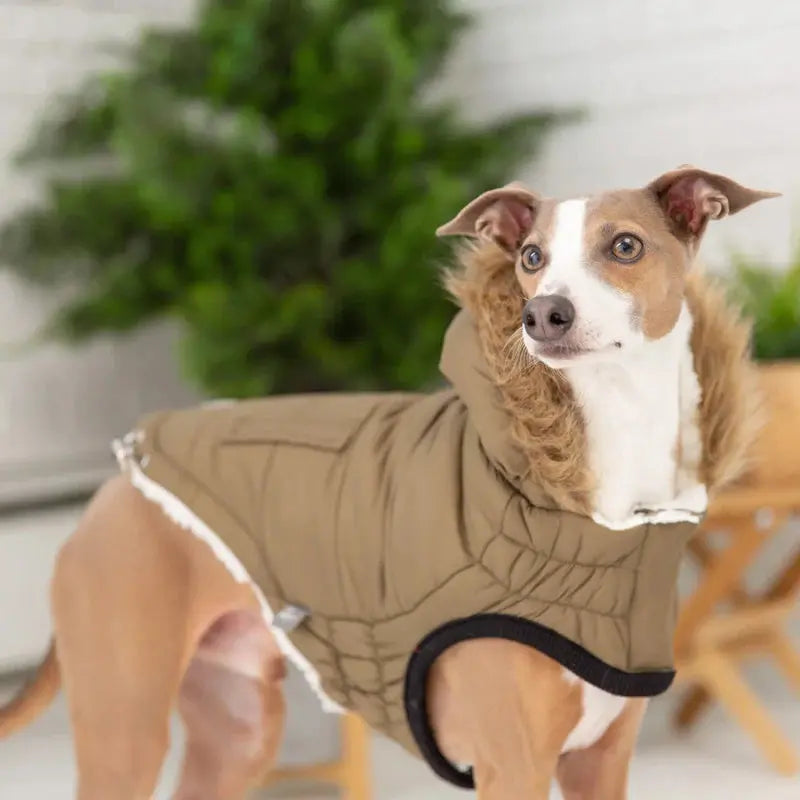 GF Pet Urban Parka Winter Dog Coat GF Pet