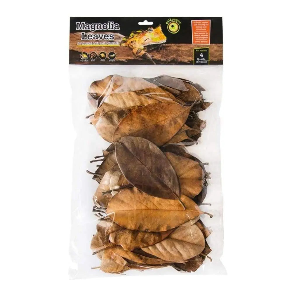 Galapagos Magnolia Leaves for Tropical & Bioactive Habitats Leaves Brown 4 qt Galapagos CPD