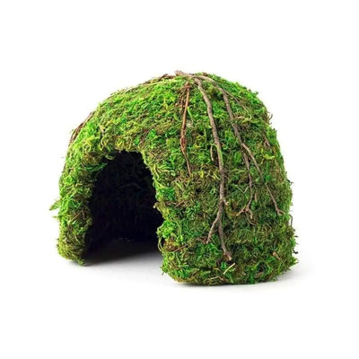 Galapagos Mossy Dome Terrarium Hideaway Dome Fresh Green Galapagos CPD
