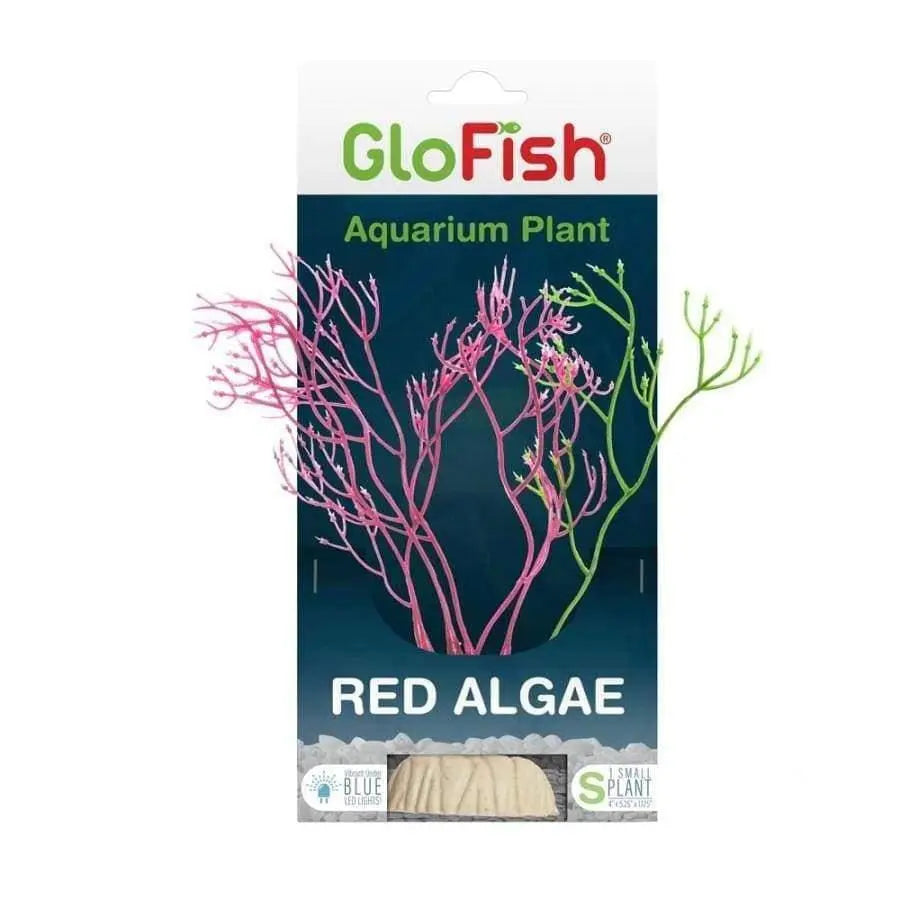 GloFish Algae Aquarium Plant Red 1ea/Small GloFish
