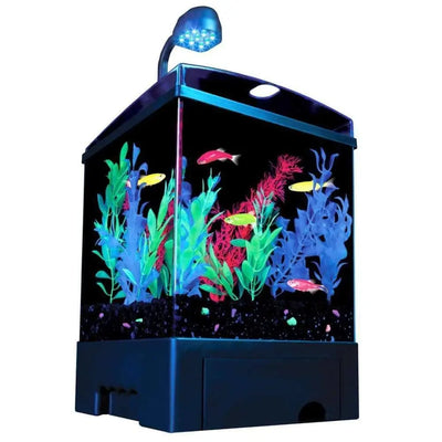 GloFish Aquarium Kit Black, Clear GloFish
