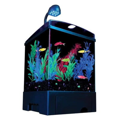 GloFish Aquarium Kit Black, Clear GloFish
