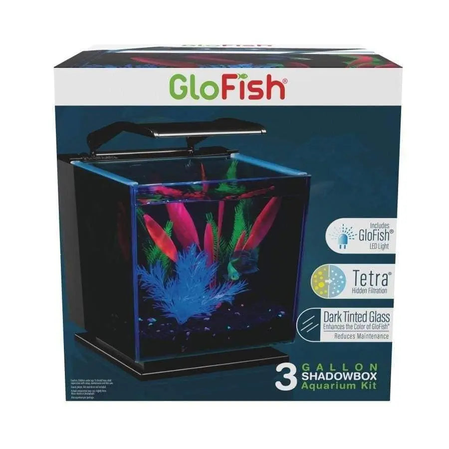 GloFish Betta Tinted Aquarium Kit 3gal glo