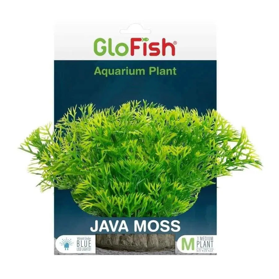 GloFish Java Moss Aquarium Plant Green 1ea/Medium GloFish