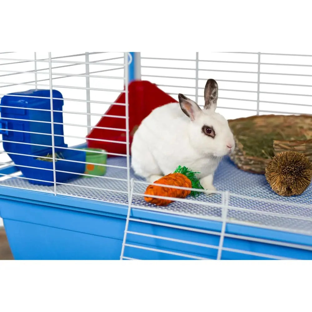 Grassy Nibblers Carrot Prevue Pet