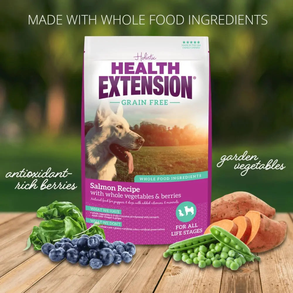 Health Extension Grain Free Salmon Dry Dog Food Health Extension