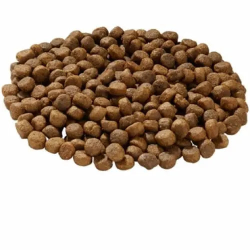Health Extension Grain Free Venison Dry Dog Food Health Extension