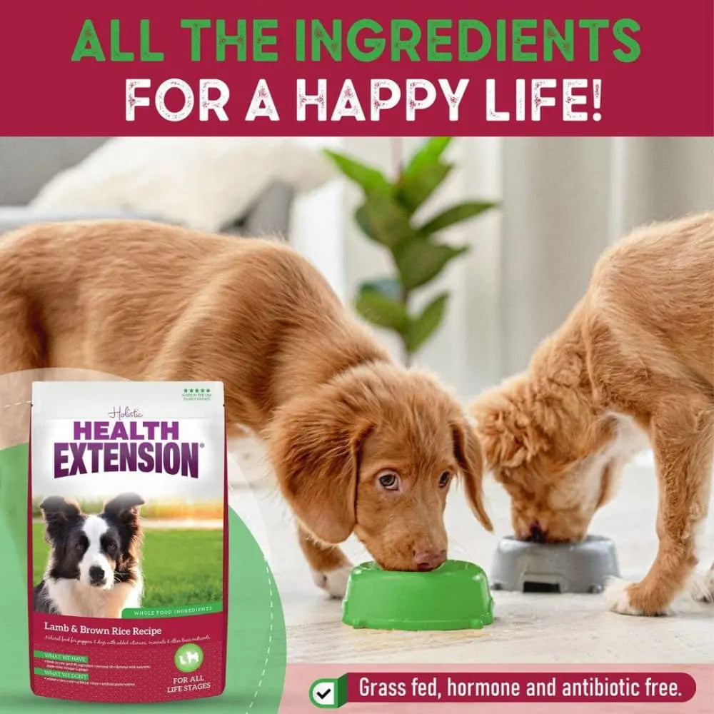 Health Extension Lamb & Brown Rice Dry Dog Food Health Extension