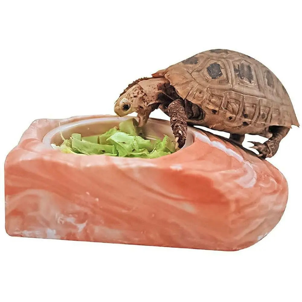 Healthy Herp Stepping Stone Feeding Dish - LG Healthy Herp