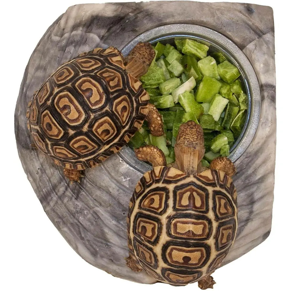 Healthy Herp Tortoise Treats Cactus 0.25 oz Healthy Herp