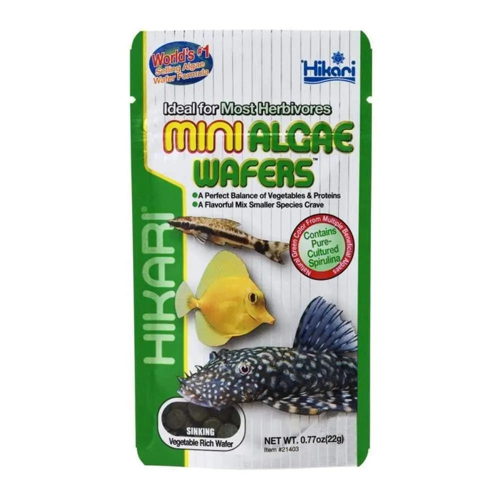 Hikari USA Algae Wafers Sinking Wafer Fish Food 1ea/0.77 oz, Mini Hikari USA