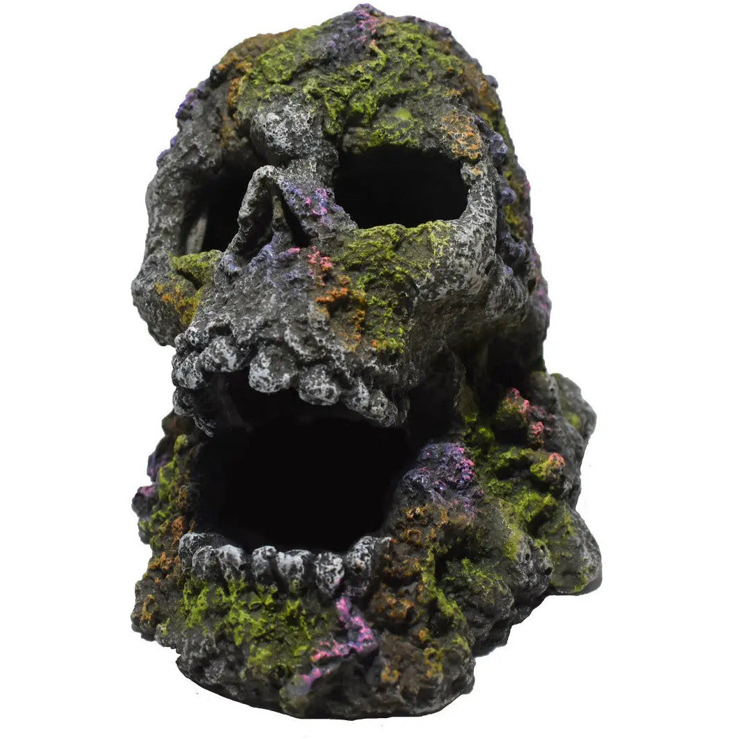Hikari USA Hakari Mossy Skull Resin Ornament 4.1 in Hikari USA