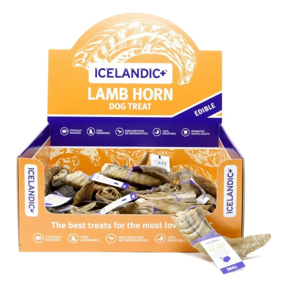 Icelandic+ Small Lamb Horn w/ Marrow 36 ct Display Icelandic+