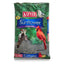 Kaytee Black Oil Sunflower Food Kaytee®