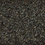 Kaytee Black Oil Sunflower Food Kaytee®