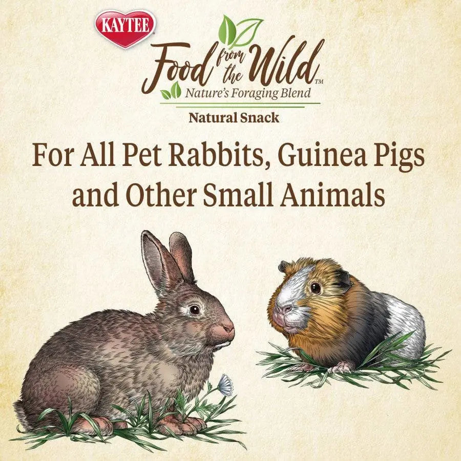 Kaytee Food From the Wild Natural Snack Rabbit and Guinea Pig 1 oz Kaytee® CPD