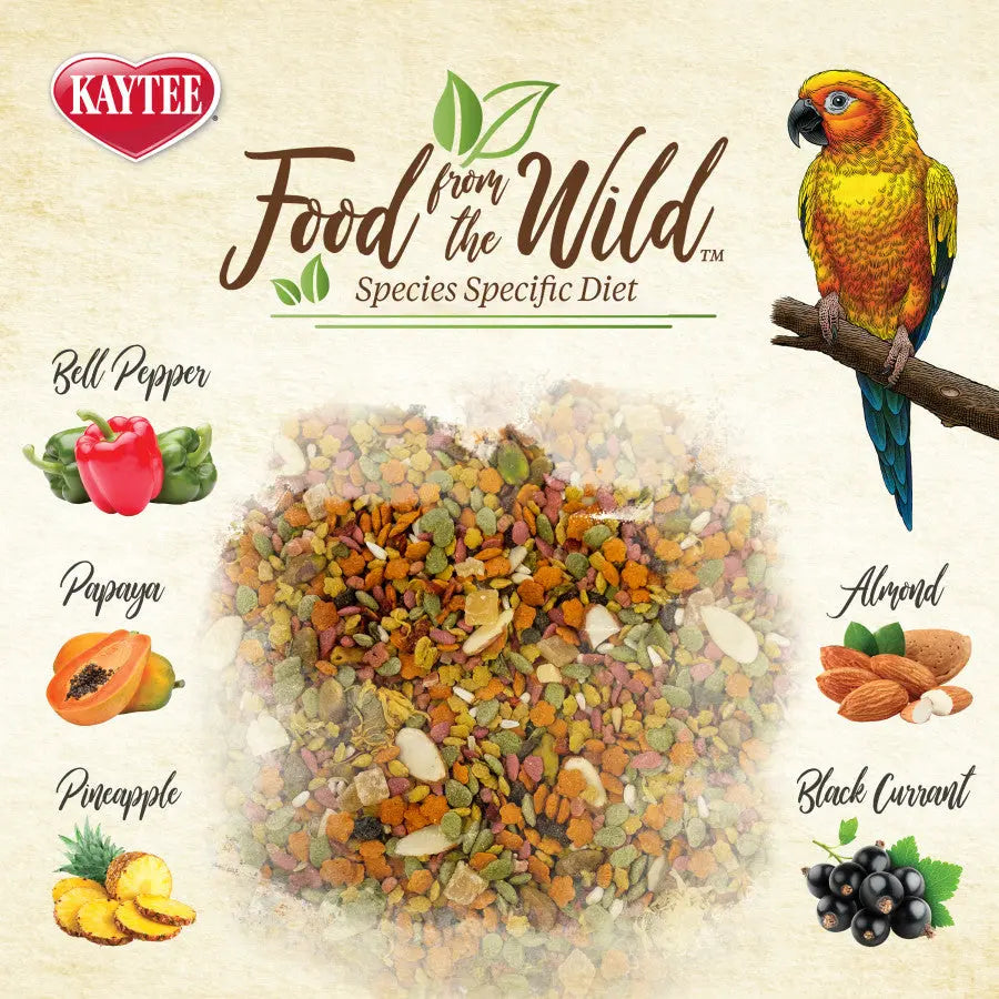 Kaytee Food from the Wild Conure 2.5 lb Kaytee
