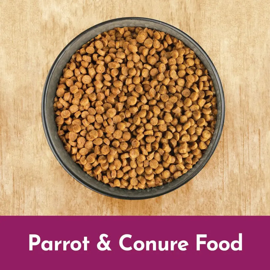 Kaytee NutriSoft Parrot & Conure 3 lb Kaytee