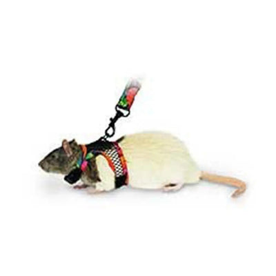 Kaytee® Comfort Harness & Stretchy Leash for Small Animal Assorted Color Small Kaytee®