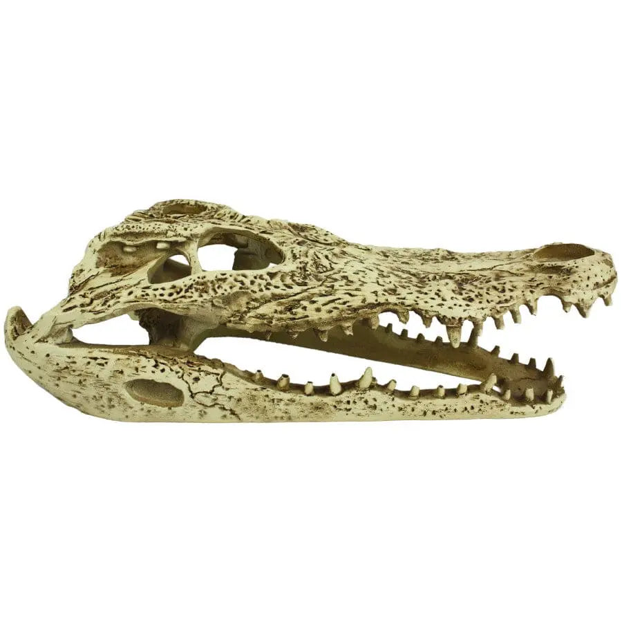 Komodo Alligator Skull Hideout 9 in Komodo