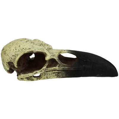 Komodo Raven Skull Hideout Komodo