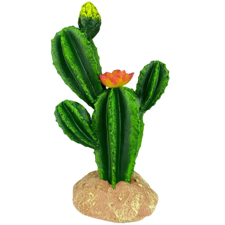 Komodo Reptile Terrarium Cactus Plant Ornament & Habitat Decoration Komodo