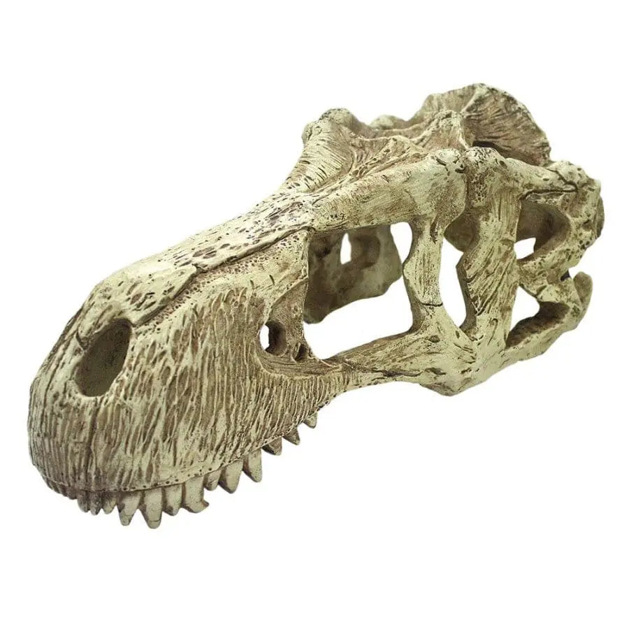 Komodo T-Rex Skull Reptile Hideout Komodo