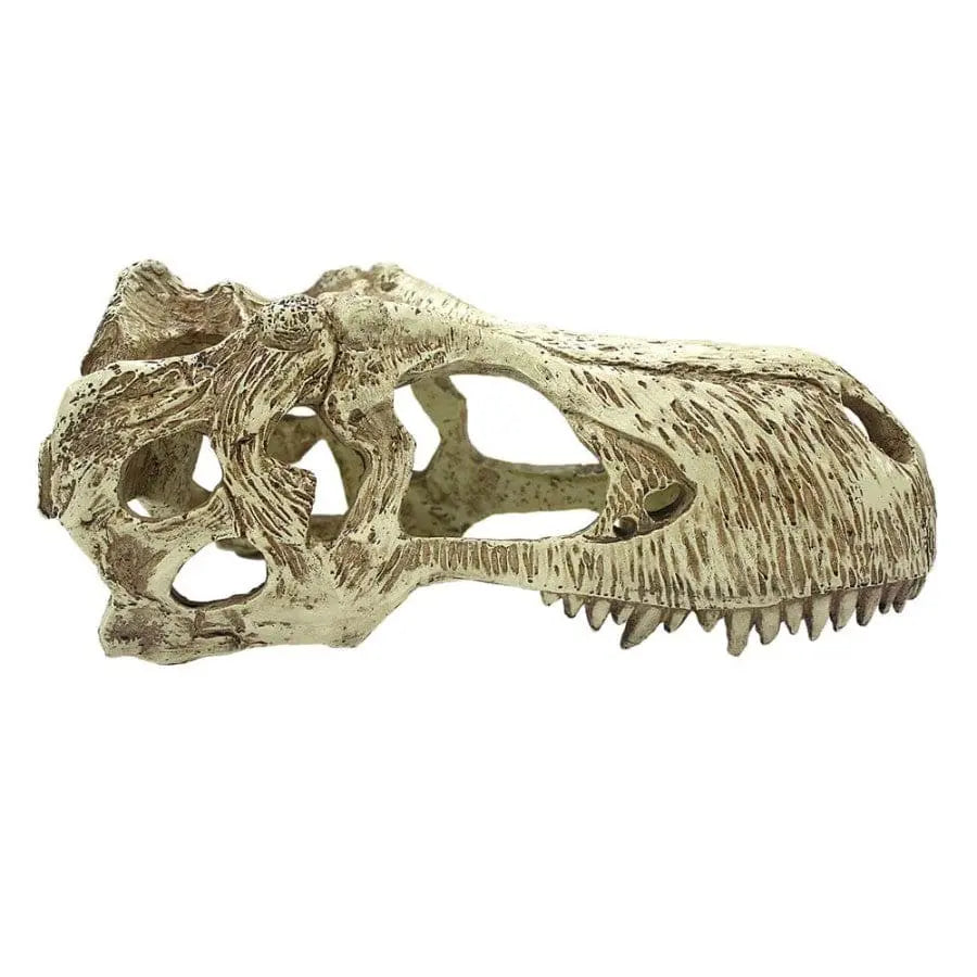 Komodo T-Rex Skull Reptile Hideout Komodo