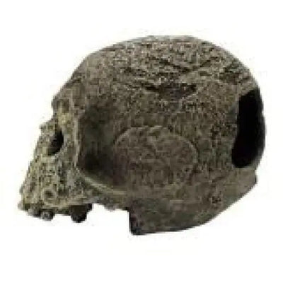 Komodo Textured Human Skull Reptile Hideout Textured Human Skull Gray 1ea/One Size Komodo