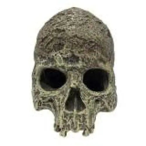 Komodo Textured Human Skull Reptile Hideout Textured Human Skull Gray 1ea/One Size Komodo