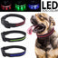 LED Light Up Dog Collar USB Battery Operated Talis Us