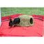 Large Oval Rabbit Hut Prevue Pet