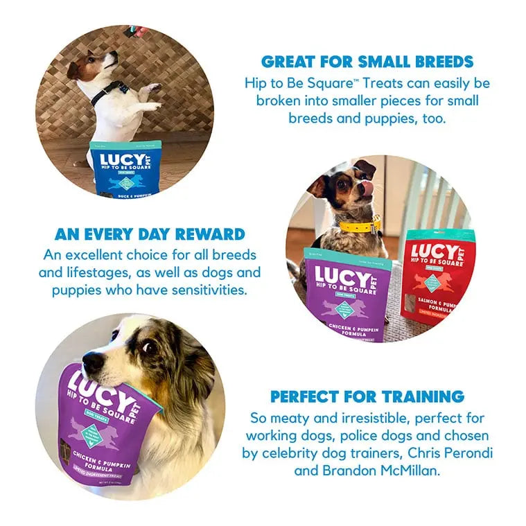 Lucy Pet Products Hip to Be Square Limited Ingredient Talis Us