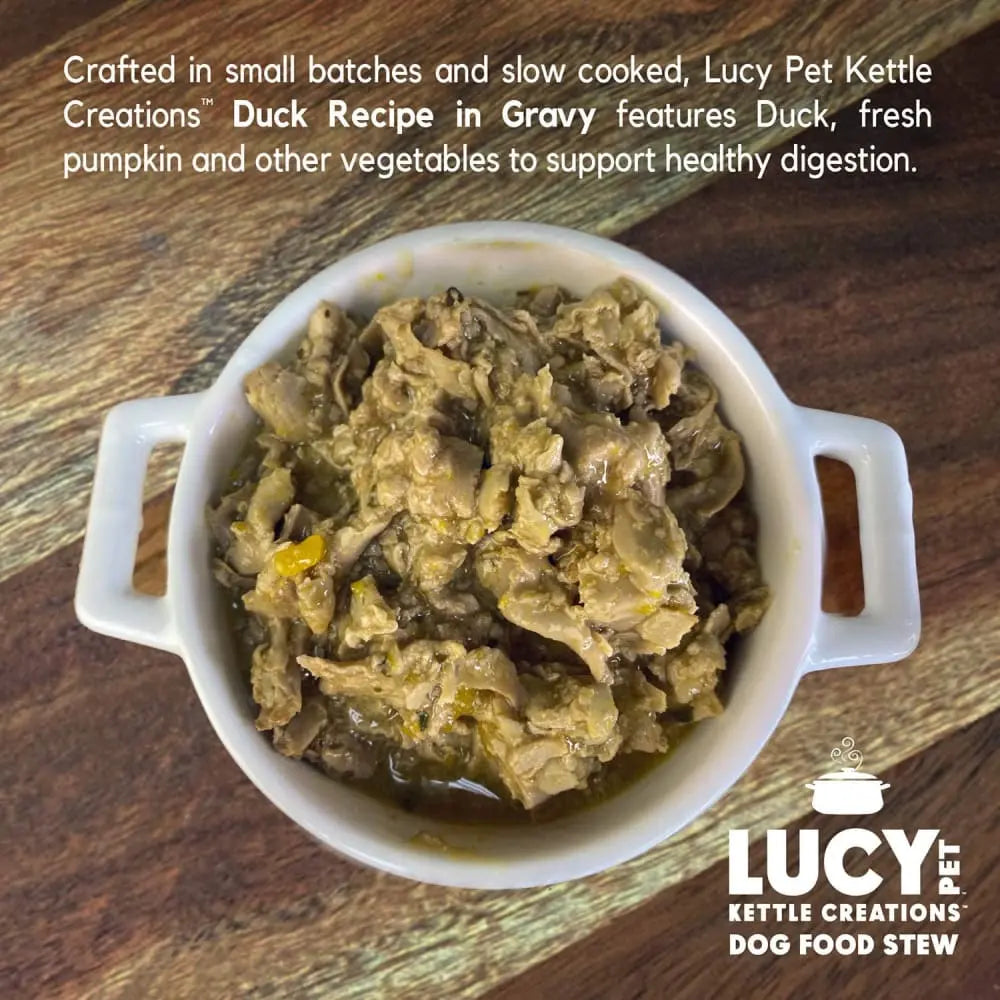 Lucy Pet Products Kettle Creations Recipe in Gravy Wet Dog Food 12ea/12.5 oz Lucy Pet Products