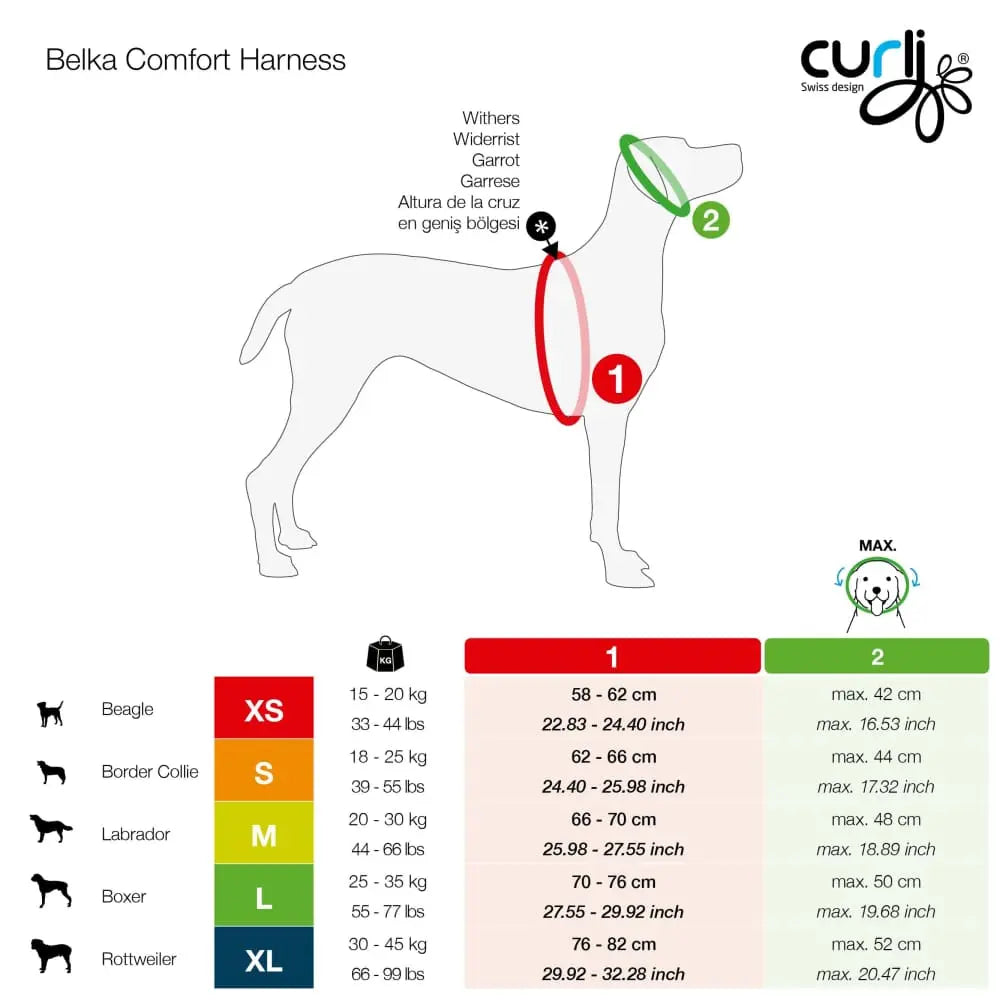 Magnetic Belka Comfort Dog Harness Adjustable Reflective Vest for Larger Dogs Curli