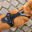 Magnetic Belka Comfort Dog Harness Adjustable Reflective Vest for Larger Dogs Curli
