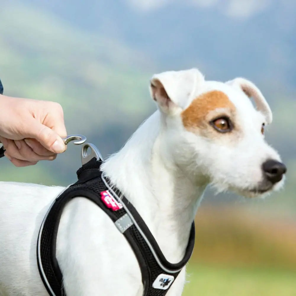Magnetic Harness Vest No Pull Dog Harness for Small and Medium Dogs Curli