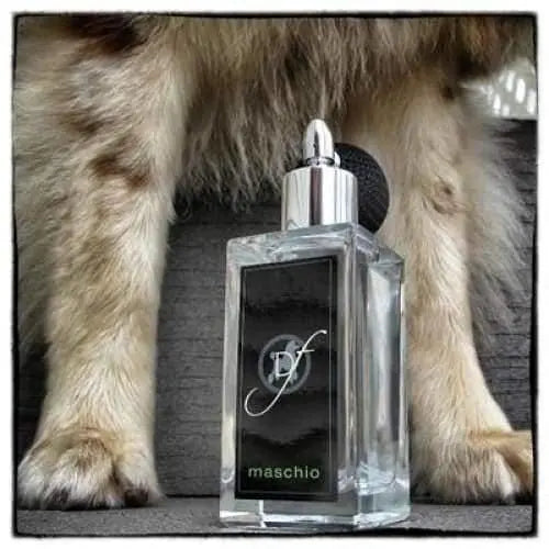 Male Dog Perfume Gift by Dog Fashion Spa PetStore Direct