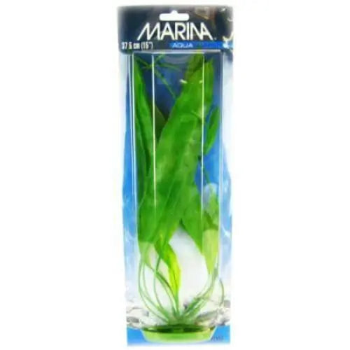 Marina Amazon Sword Plant Marina