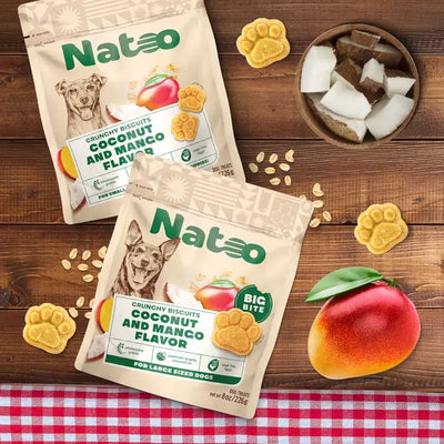 Natoo Biscuits Coconut and Mango Flavor BIG BITES Dog Recipe 8-oz Natoo