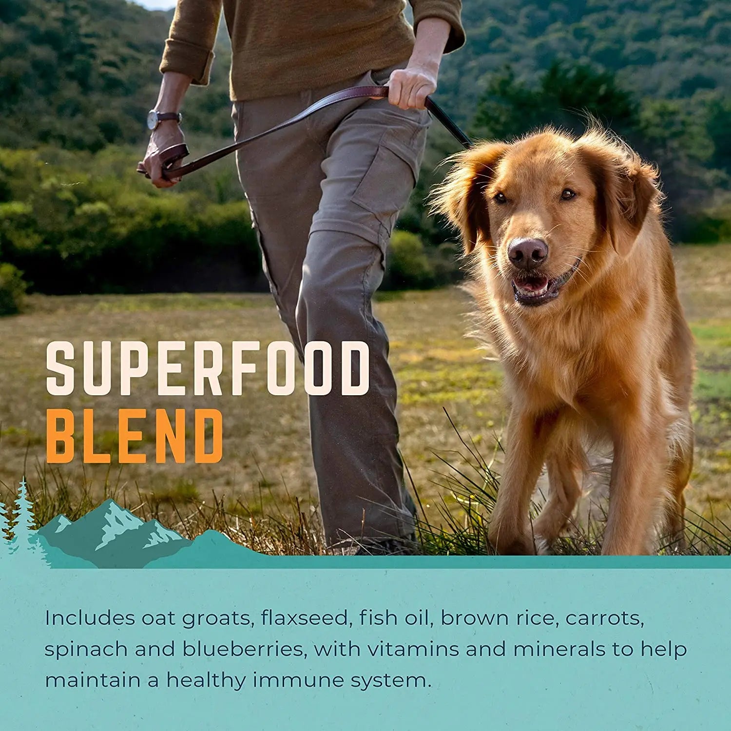 Natural Balance Pet Foods L.I.D. Beef and Brown Rice Adult Dry Dog Food Natural Balance CPD