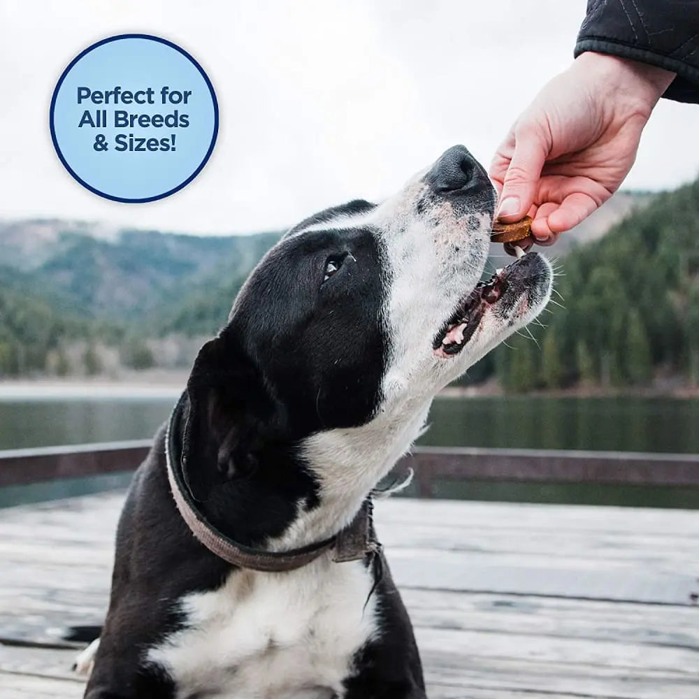Natural Balance Pet Foods L.I.T. Sweet Potato & Fish Dog Treat Natural Balance CPD