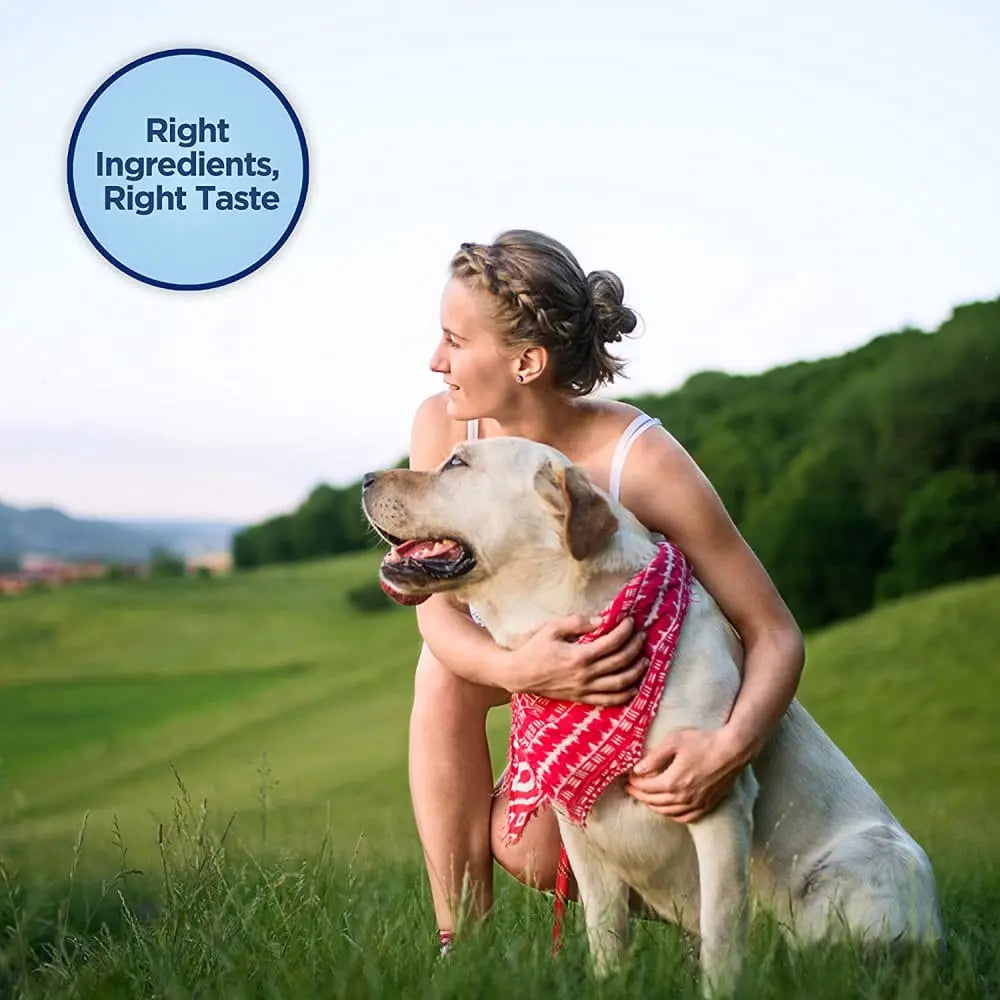 Natural Balance Pet Foods LID Mini Rewards Soft & Chewy Chicken Dog Treats 5.3 oz Natural Balance CPD