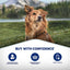 Natural Balance Pet Foods LID Mini Rewards Soft & Chewy Salmon Dog Treats Natural Balance CPD