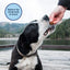 Natural Balance Pet Foods LID Mini Rewards Soft & Chewy Turkey Dog Treats Natural Balance CPD