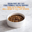 Natural Balance Pet Foods Original Ultra Grain Free Chicken Dry Cat Food Natural Balance CPD
